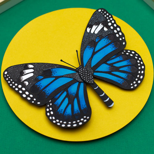 Blue Monarch Butterfly
